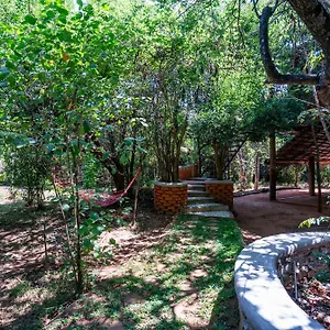  Lodge The Thick Forest