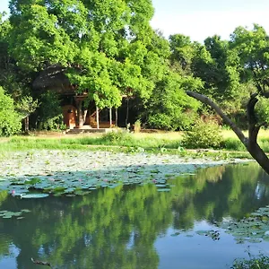 Lodge Back Of Beyond - Wild Haven, Sigiriya